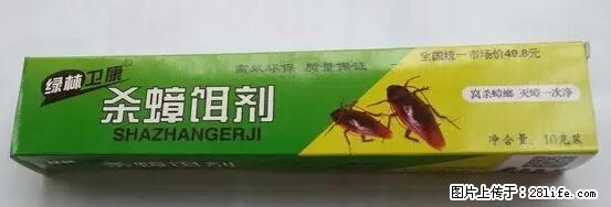 【紧急提醒】如果有“防疫站工作人员”上门灭杀蟑螂，请立刻报警 - 灌水专区 - 伊犁生活社区 - 伊犁28生活网 yili.28life.net