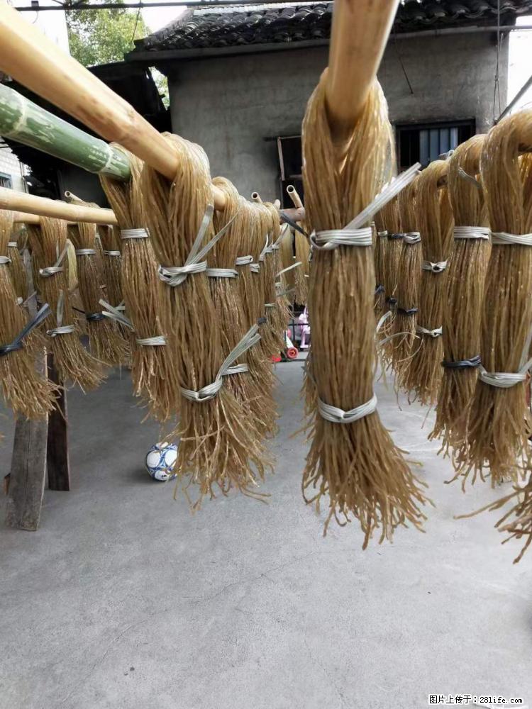 【灌阳正宗红薯粉】美女家里自己做的，干净卫生，假一赔十，价格合理，抢购电话：13737312895 - 美食天地 - 伊犁生活社区 - 伊犁28生活网 yili.28life.net