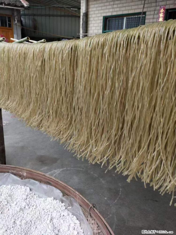 【灌阳正宗红薯粉】美女家里自己做的，干净卫生，假一赔十，价格合理，抢购电话：13737312895 - 美食天地 - 伊犁生活社区 - 伊犁28生活网 yili.28life.net