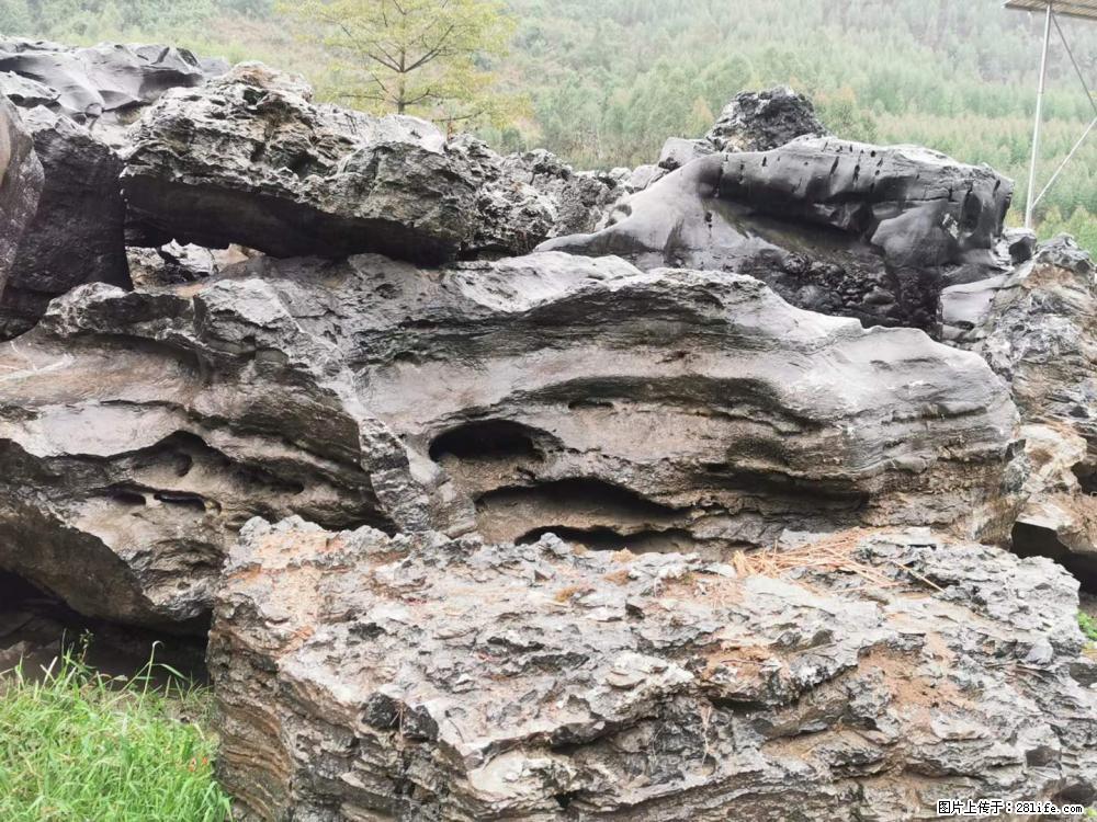风景石、假山石大量有货，有需要的欢迎联系 - 新手上路 - 伊犁生活社区 - 伊犁28生活网 yili.28life.net