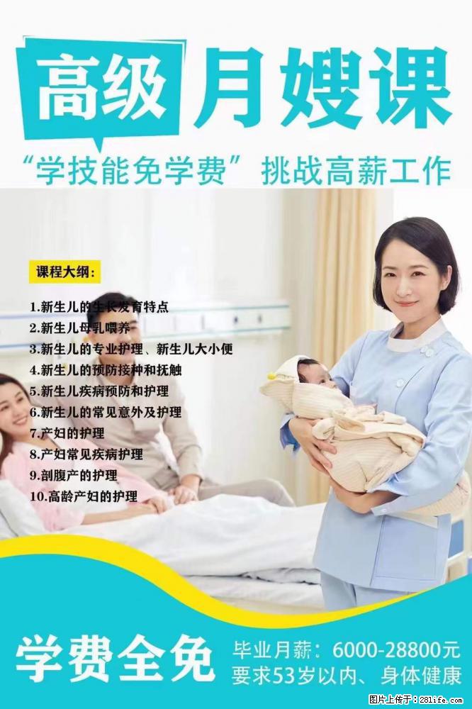 为什么要学习月嫂，育婴师？ - 其他广告 - 广告专区 - 伊犁分类信息 - 伊犁28生活网 yili.28life.net