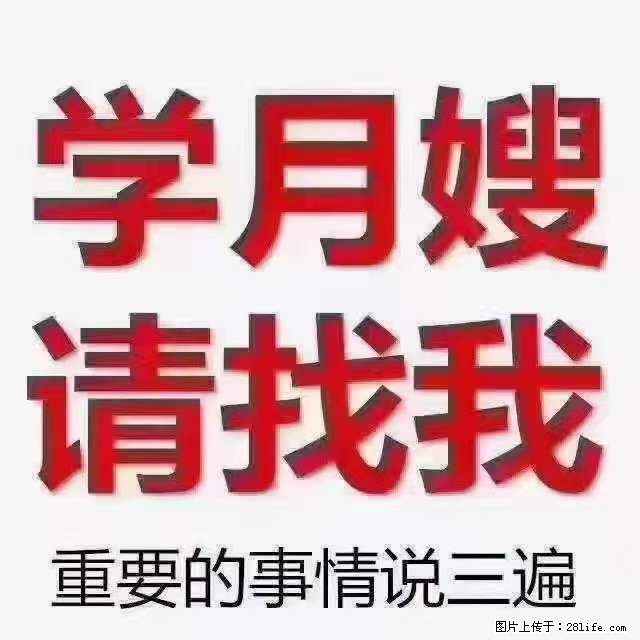 为什么要学习月嫂，育婴师？ - 新手上路 - 伊犁生活社区 - 伊犁28生活网 yili.28life.net