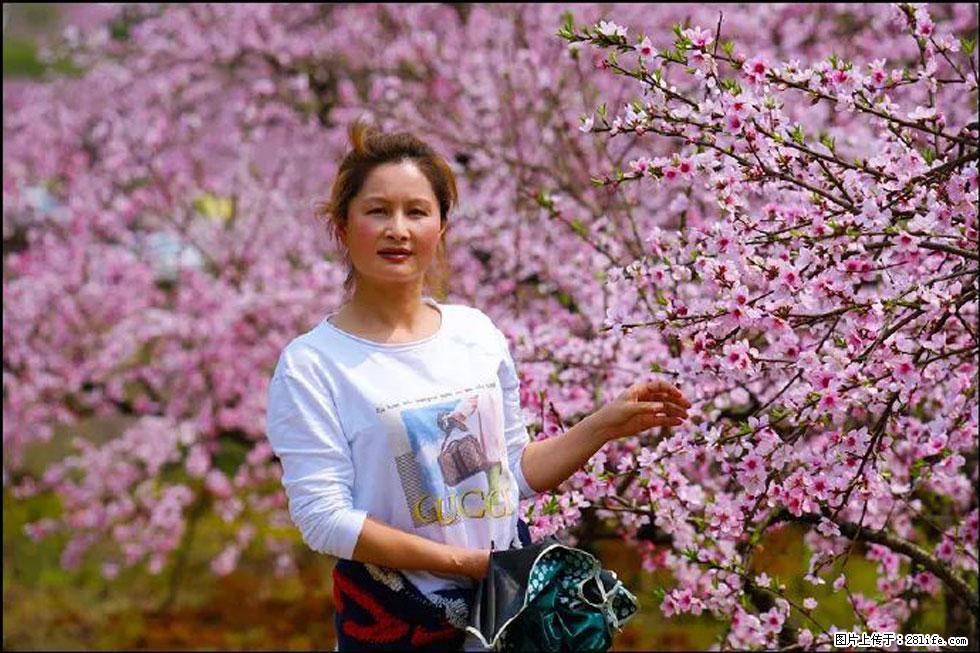 【春天，广西桂林灌阳县向您发出邀请！】官庄村有个醉美的桃花园 - 游山玩水 - 伊犁生活社区 - 伊犁28生活网 yili.28life.net