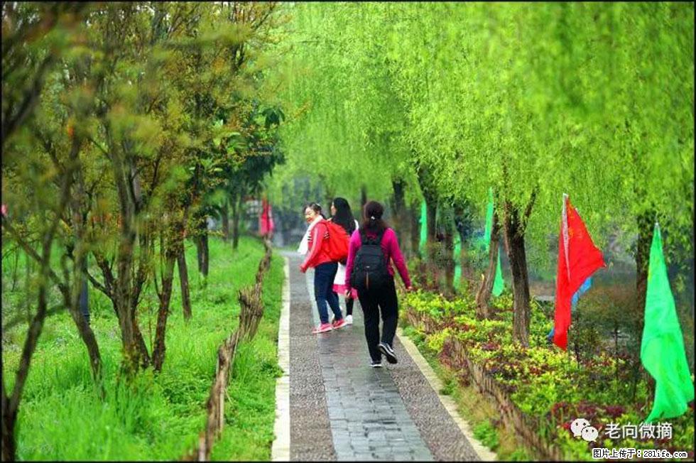 【春天，广西桂林灌阳县向您发出邀请！】江口老街又逢春 - 游山玩水 - 伊犁生活社区 - 伊犁28生活网 yili.28life.net