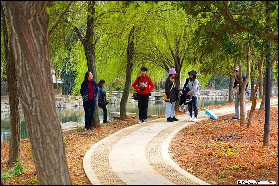 【春天，广西桂林灌阳县向您发出邀请！】江口老街又逢春 - 游山玩水 - 伊犁生活社区 - 伊犁28生活网 yili.28life.net