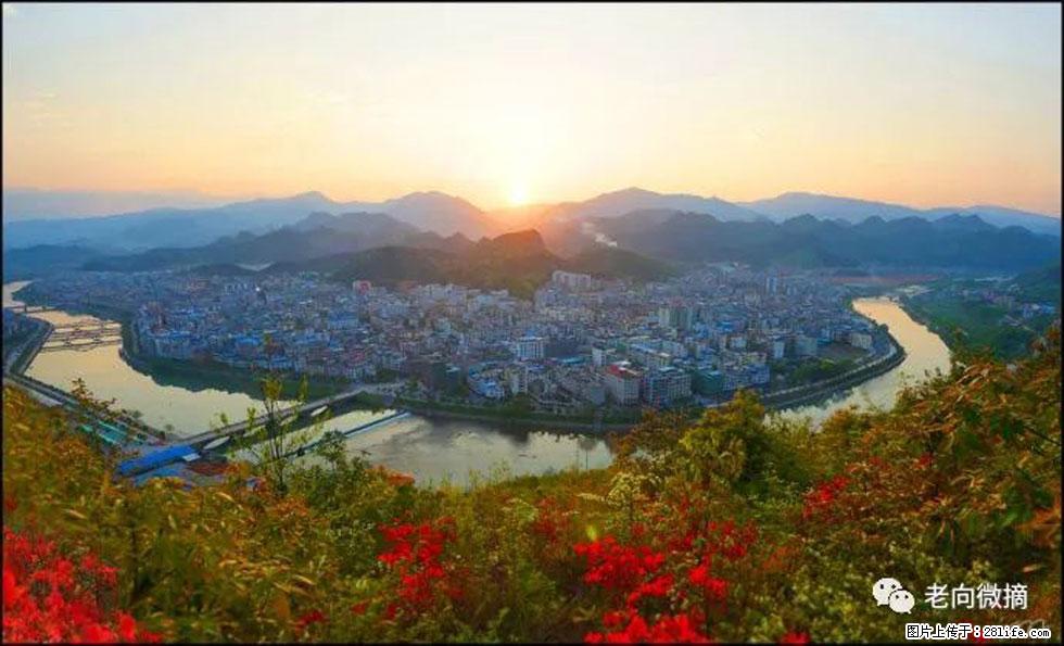 【春天，广西桂林灌阳县向您发出邀请！】登麒麟山，相约映山红 - 游山玩水 - 伊犁生活社区 - 伊犁28生活网 yili.28life.net