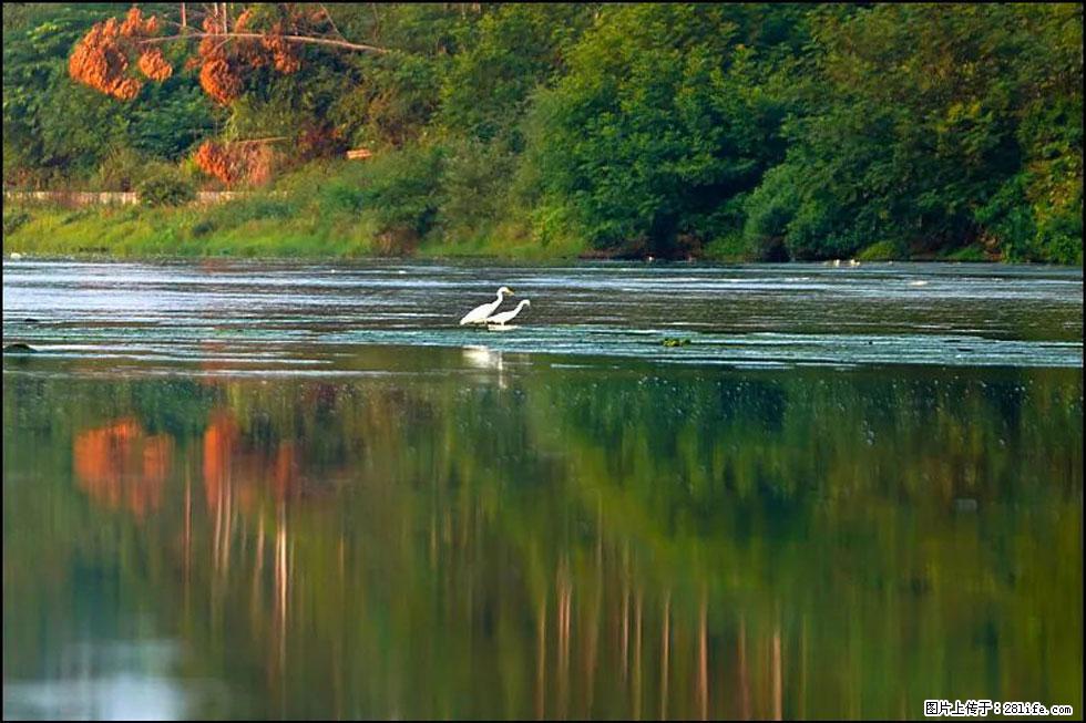 【春天，广西桂林灌阳县向您发出邀请！】熊家寨湿地公园 - 游山玩水 - 伊犁生活社区 - 伊犁28生活网 yili.28life.net