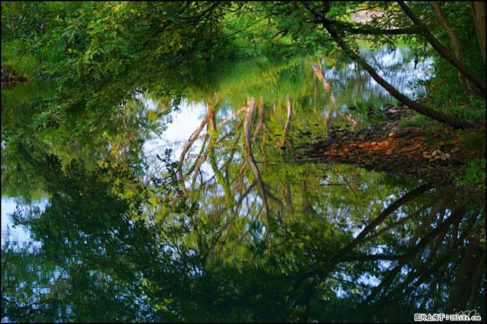 【春天，广西桂林灌阳县向您发出邀请！】熊家寨湿地公园 - 游山玩水 - 伊犁生活社区 - 伊犁28生活网 yili.28life.net
