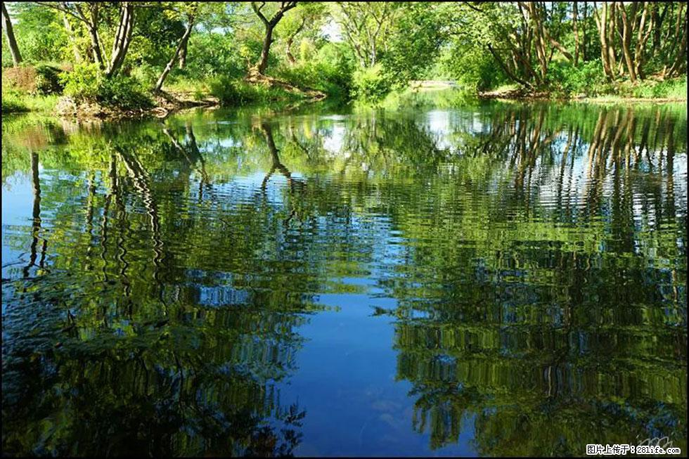 【春天，广西桂林灌阳县向您发出邀请！】熊家寨湿地公园 - 游山玩水 - 伊犁生活社区 - 伊犁28生活网 yili.28life.net