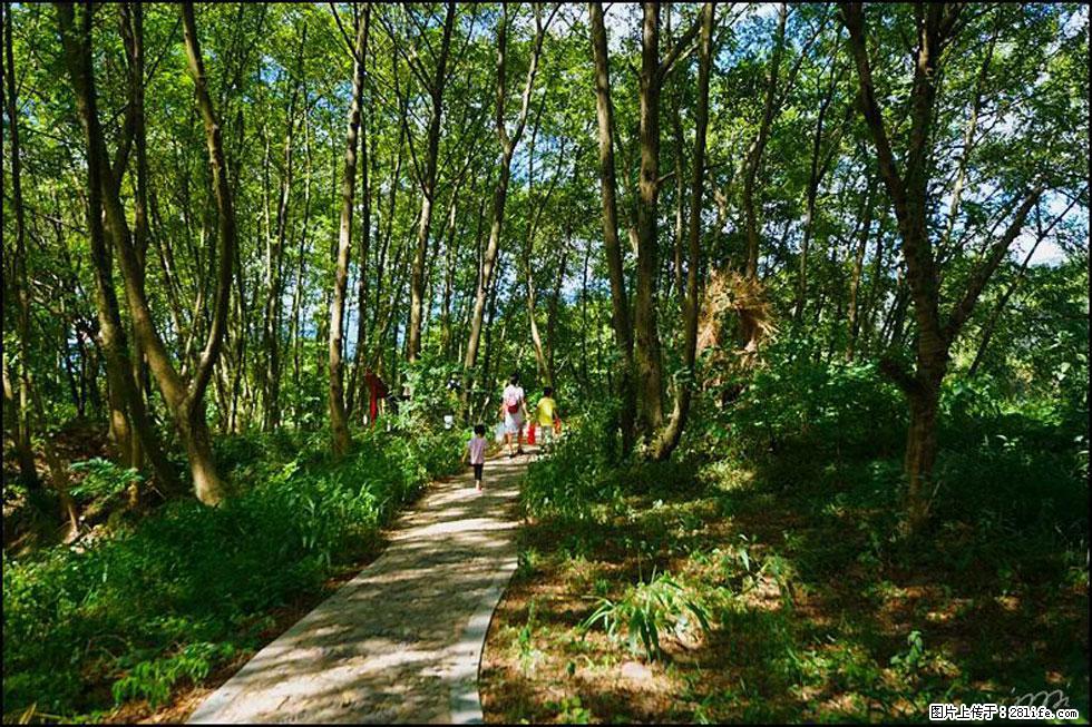 【春天，广西桂林灌阳县向您发出邀请！】熊家寨湿地公园 - 游山玩水 - 伊犁生活社区 - 伊犁28生活网 yili.28life.net