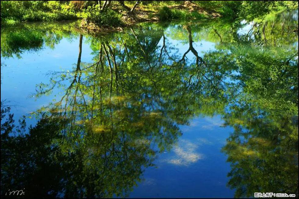 【春天，广西桂林灌阳县向您发出邀请！】熊家寨湿地公园 - 游山玩水 - 伊犁生活社区 - 伊犁28生活网 yili.28life.net