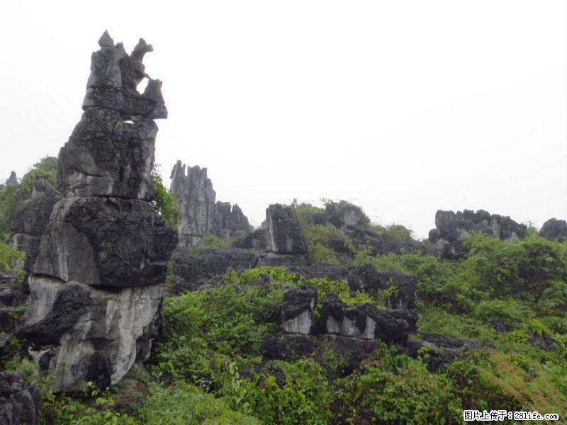 桂林旅游名城景点：灌阳文市石林 - 游山玩水 - 伊犁生活社区 - 伊犁28生活网 yili.28life.net