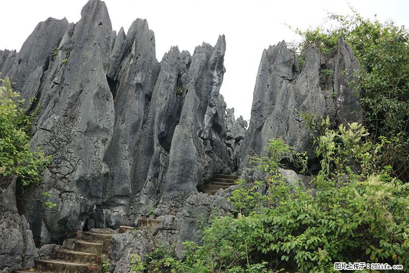 桂林旅游名城景点：灌阳文市石林 - 游山玩水 - 伊犁生活社区 - 伊犁28生活网 yili.28life.net