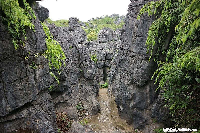 桂林旅游名城景点：灌阳文市石林 - 游山玩水 - 伊犁生活社区 - 伊犁28生活网 yili.28life.net
