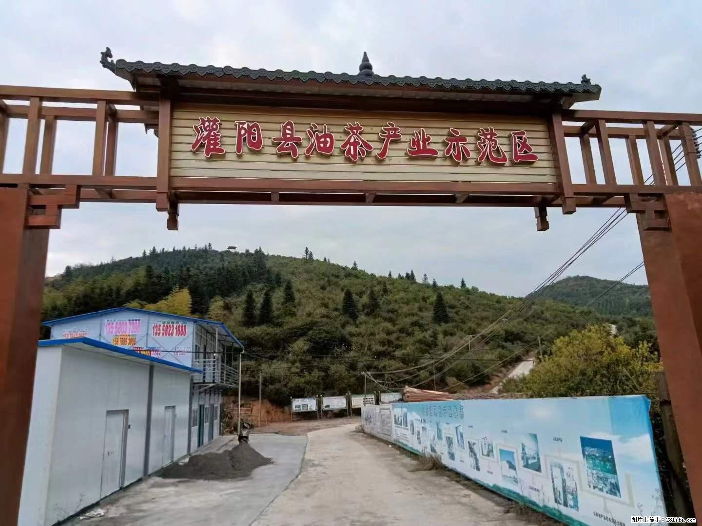 【灌阳县油茶产业示范区】一个有着充实的精神生活的人，对待身外之物自会有一种淡泊的态度 - 土特产 - 饮食特产 - 伊犁分类信息 - 伊犁28生活网 yili.28life.net