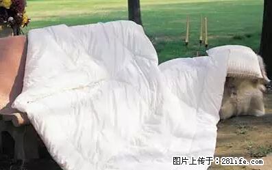 被子有异味？只要这样做，比晒太阳还强100倍！ - 家居生活 - 伊犁生活社区 - 伊犁28生活网 yili.28life.net