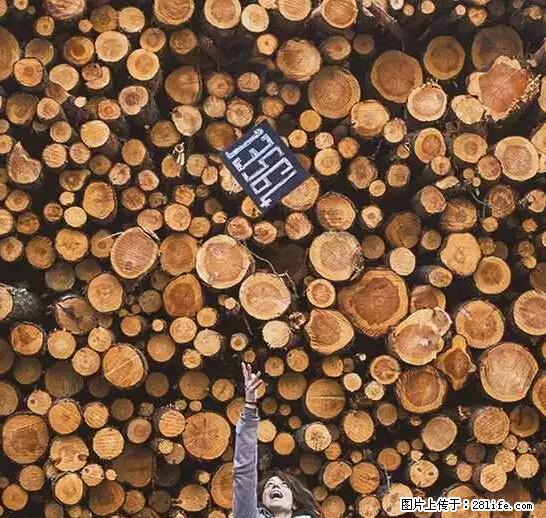 辞掉工作周游世界？现在他们在洗厕所…… - 游山玩水 - 伊犁生活社区 - 伊犁28生活网 yili.28life.net
