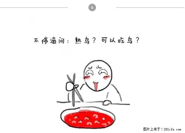 千万不要和这9种哈卵一起吃火锅！ - 美食天地 - 伊犁生活社区 - 伊犁28生活网 yili.28life.net