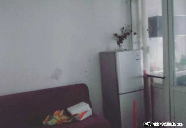 开发区北京路梧桐丽景旁边 单身公寓 短租房 押一付二 - 房屋出租 - 房屋租售 - 伊犁分类信息 - 伊犁28生活网 yili.28life.net