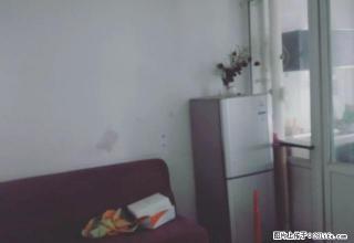 开发区北京路梧桐丽景旁边 单身公寓 短租房 押一付二 - 伊犁28生活网 yili.28life.net