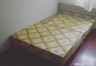 开发区北京路 金茂世界城 三楼 三室 包暖气费 可半年付 - 伊犁28生活网 yili.28life.net