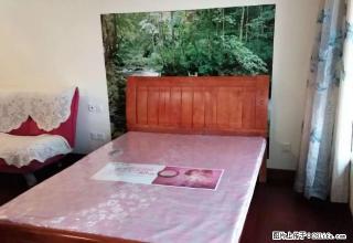 恒大雅苑精装单身公寓带家具家电便宜出租 - 伊犁28生活网 yili.28life.net