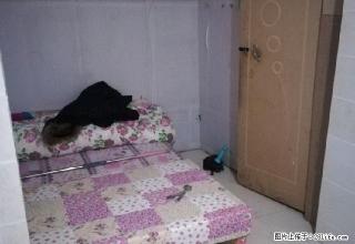 (单间出租)福安西城国际(上海路) 4室1厅1卫 男女不限 - 伊犁28生活网 yili.28life.net
