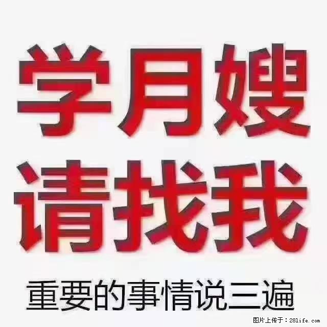 【招聘】月嫂，上海徐汇区 - 职场交流 - 伊犁生活社区 - 伊犁28生活网 yili.28life.net