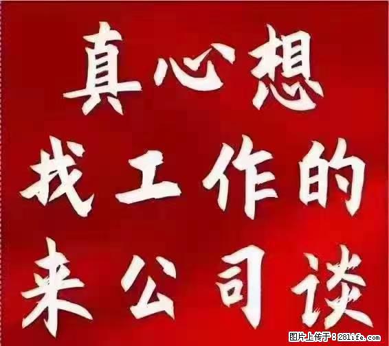【上海】国企，医院招两名男保安，55岁以下，身高1.7米以上，无犯罪记录不良嗜好 - 职场交流 - 伊犁生活社区 - 伊犁28生活网 yili.28life.net