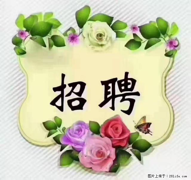 【招聘】住家育儿嫂，上户日期：4月4日，工作地址：上海 黄浦区 - 职场交流 - 伊犁生活社区 - 伊犁28生活网 yili.28life.net