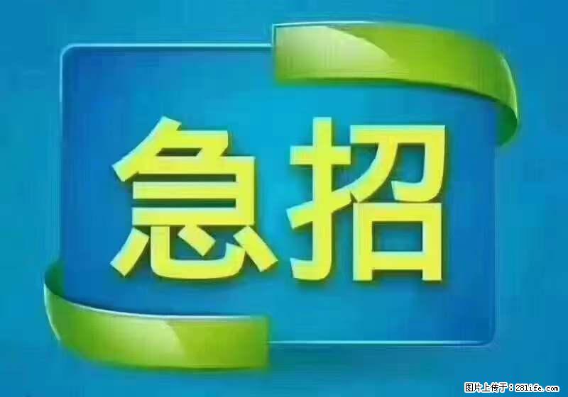 招出纳8000元/月，无证可以，要有相关经验，上海五险一金，包住，包工作餐，做六休一。 - 职场交流 - 伊犁生活社区 - 伊犁28生活网 yili.28life.net