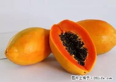 晕车、脚气、牙齿变黄、皮肤粗糙？学会这些三分钟搞定！ - 伊犁生活资讯 - 伊犁28生活网 yili.28life.net