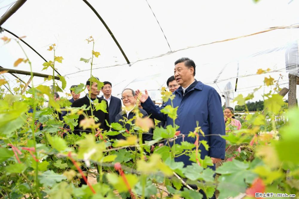 习近平赴广西考察调研 - 伊犁生活资讯 - 伊犁28生活网 yili.28life.net