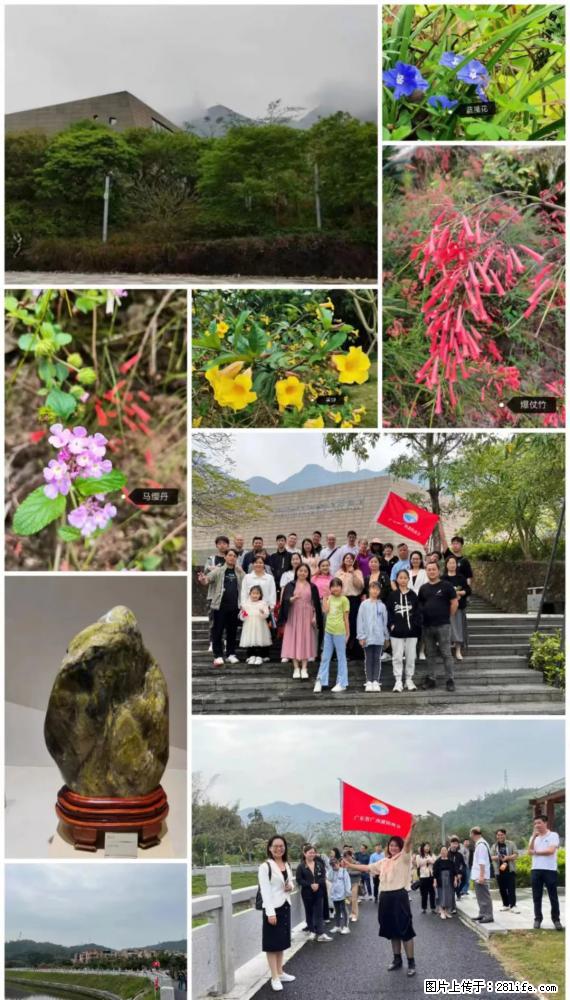 “粤灌文化 美好生活”油茶文化主题活动在广东深圳成功举办 - 伊犁生活资讯 - 伊犁28生活网 yili.28life.net