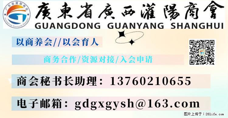 “粤灌文化 美好生活”油茶文化主题活动在广东深圳成功举办 - 伊犁生活资讯 - 伊犁28生活网 yili.28life.net