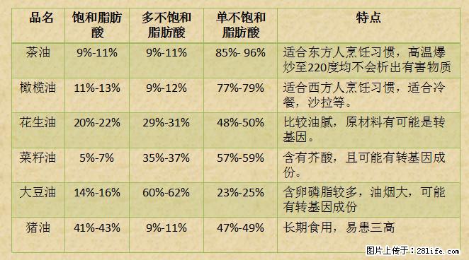 揭秘茶油的5大核心营养成分！被称为人体健康的“守护盾”！ - 伊犁生活资讯 - 伊犁28生活网 yili.28life.net