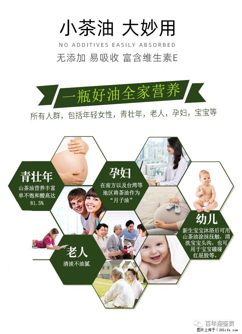 世界没有真相，只有认知，最好的食用油是中国的山茶油！ - 伊犁生活资讯 - 伊犁28生活网 yili.28life.net