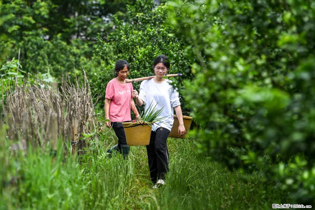 全网追的“扁担女孩”，找了一份暑假工，时薪12元 - 伊犁生活资讯 - 伊犁28生活网 yili.28life.net