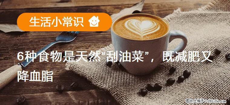 【生活小常识】6种食物是天然“刮油菜”，既减肥又降血脂 - 伊犁生活资讯 - 伊犁28生活网 yili.28life.net