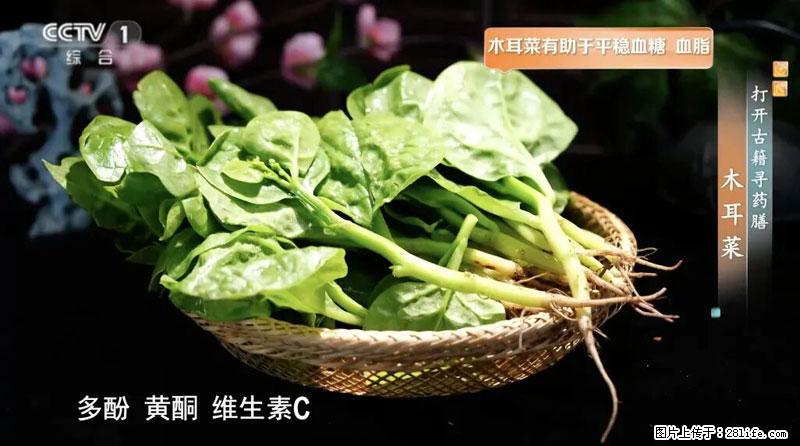 比牛奶补钙还厉害！凉血解毒、稳血糖...这菜冬天必吃，很多人却当草 - 伊犁生活资讯 - 伊犁28生活网 yili.28life.net
