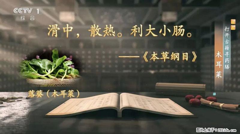 比牛奶补钙还厉害！凉血解毒、稳血糖...这菜冬天必吃，很多人却当草 - 伊犁生活资讯 - 伊犁28生活网 yili.28life.net