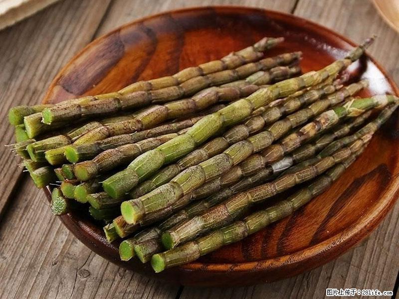 铁皮石斛的作用与功能主治 - 伊犁生活资讯 - 伊犁28生活网 yili.28life.net
