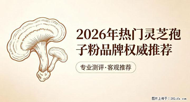 灵芝孢子粉含量越高越有效?2026 年七款热门品牌深度实测,肠胃敏感者避坑指南 - 伊犁生活资讯 - 伊犁28生活网 yili.28life.net