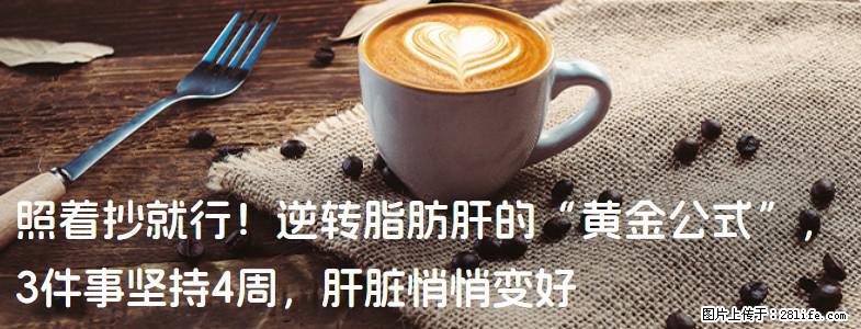照着抄就行！逆转脂肪肝的“黄金公式”，3件事坚持4周，肝脏悄悄变好 - 伊犁生活资讯 - 伊犁28生活网 yili.28life.net